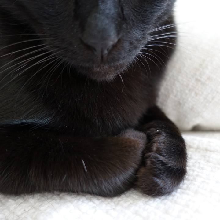 1d2d9231 4017 4695 bea2 3b8b8087d1a4