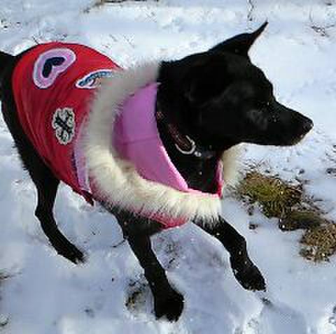 1d2daf72 ebfc 4dbd 9de0 f522085c2f86