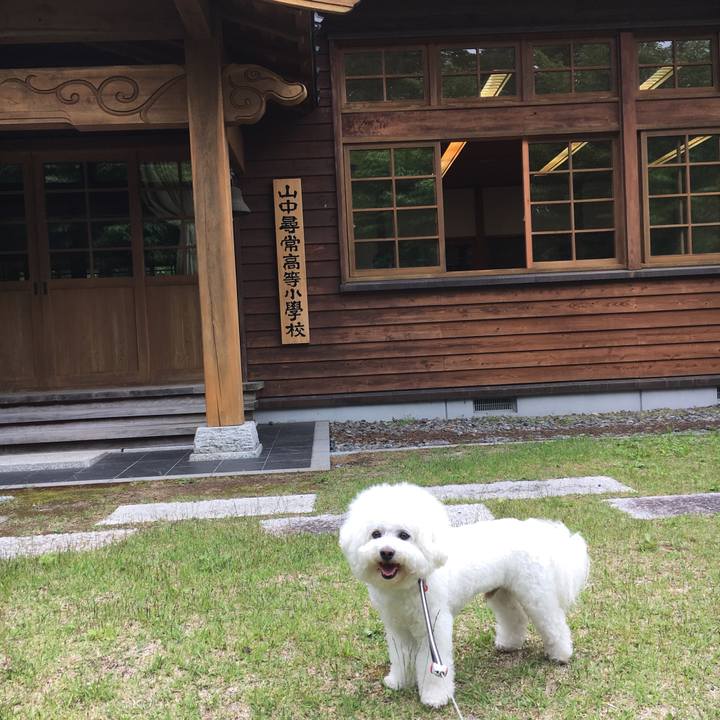 1d2e13ea bb2f 4930 9759 157d8937e981