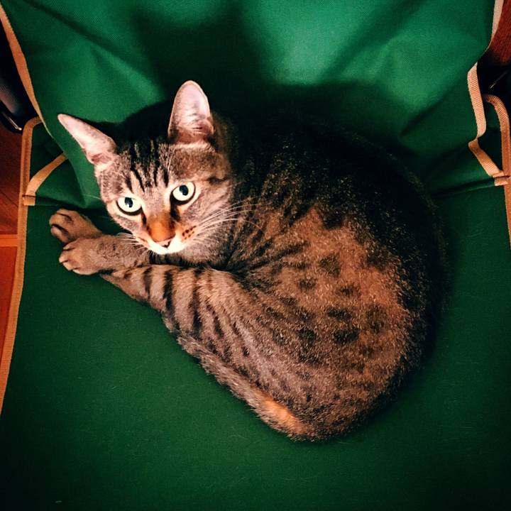 1d2e1c67 73e8 437a 91c7 a2d99a671368