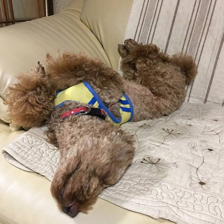 1d2e45e2 d043 4e2a b1c7 3c891abea6c3