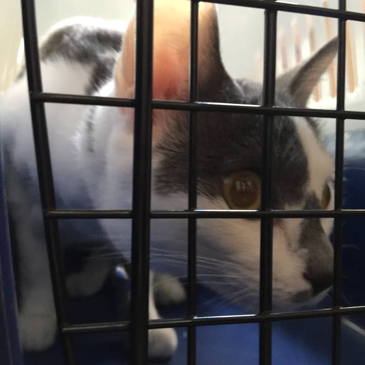 1d2e9a16 9631 4e9e 8590 c073ec2c8f30