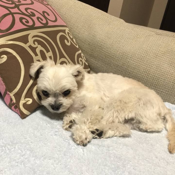 1d2ec921 4c0f 4335 af89 047339af3126