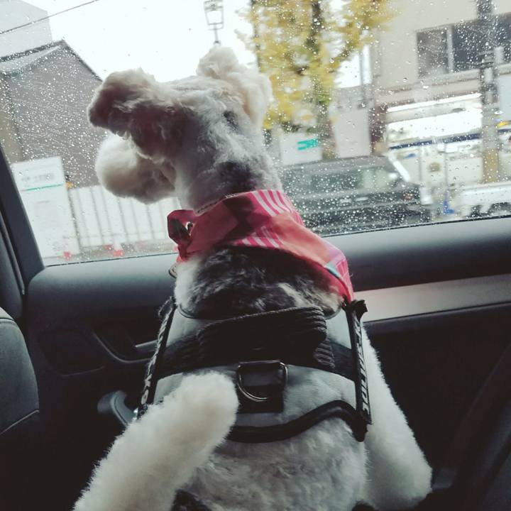 1d2efc85 8191 4475 8050 5507d092cf69