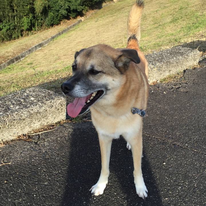 1d2f0f90 5158 454c 907a 51474146396f