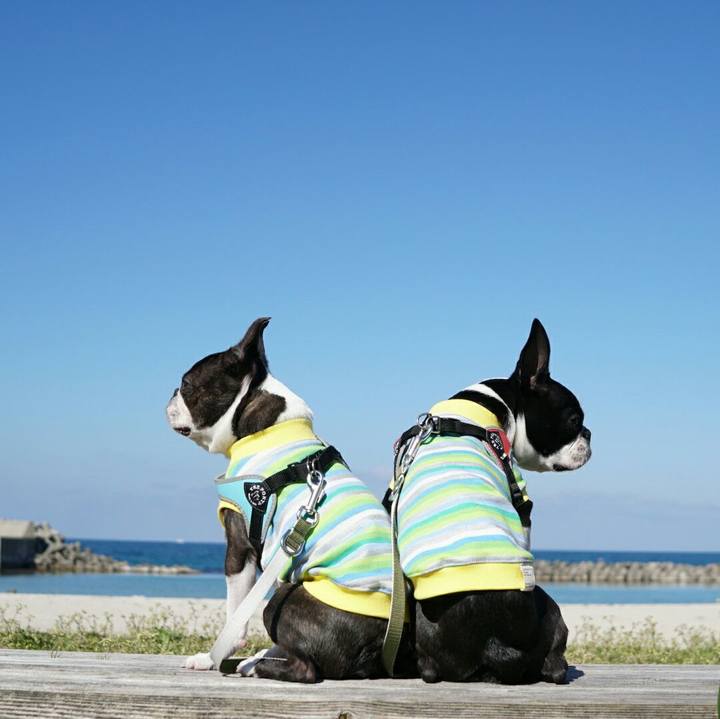 1d3209ca 5b72 430e af6a 2e472dd289ae