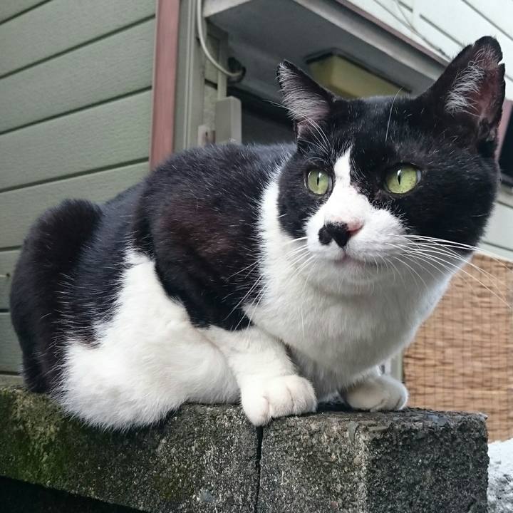 1d32e8a4 30c3 434a 9731 dbee13be59f2