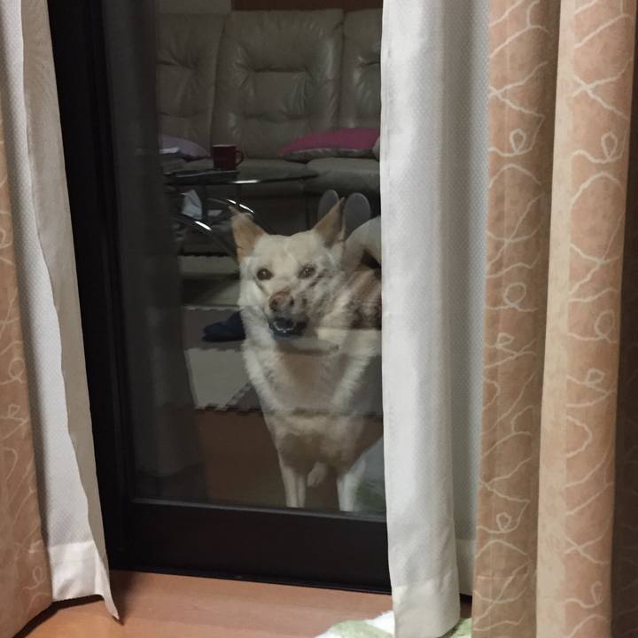 1d339795 8340 4f7a 8c09 943e0711f730