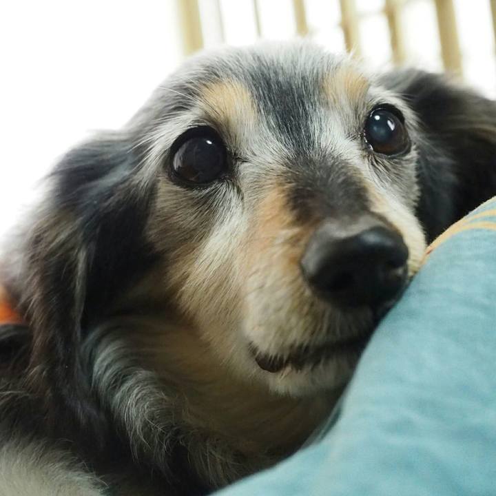 1d33b887 167c 40c0 8b8d cedce48b58cd