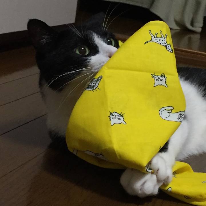 1d34e2c3 1c7e 4c60 bf26 b585b1fa236f