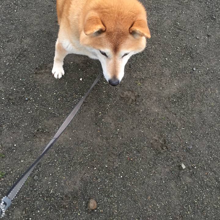 1d351d43 1253 4eb8 b731 53107d76de18