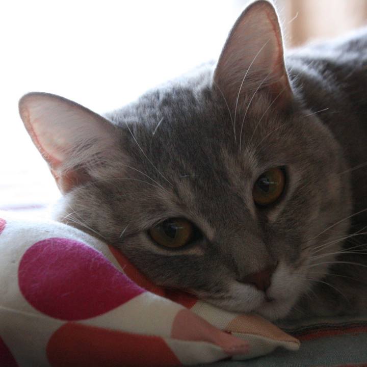 1d355244 5eb2 4c84 b445 51bf74bcfaea