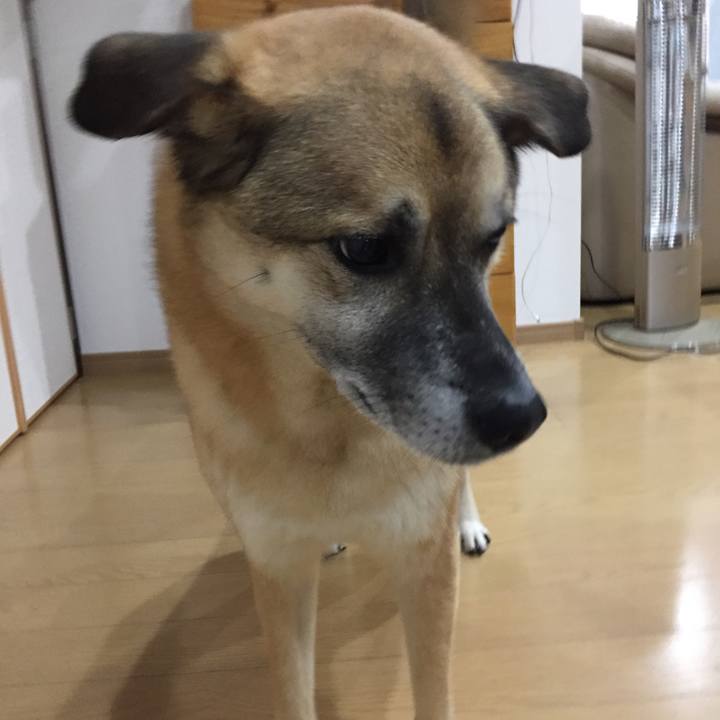 1d358cda d295 4267 a621 d350be0b011d