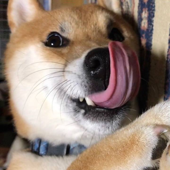 1d35dbf2 8a15 4020 bb95 d644d9a0b22a