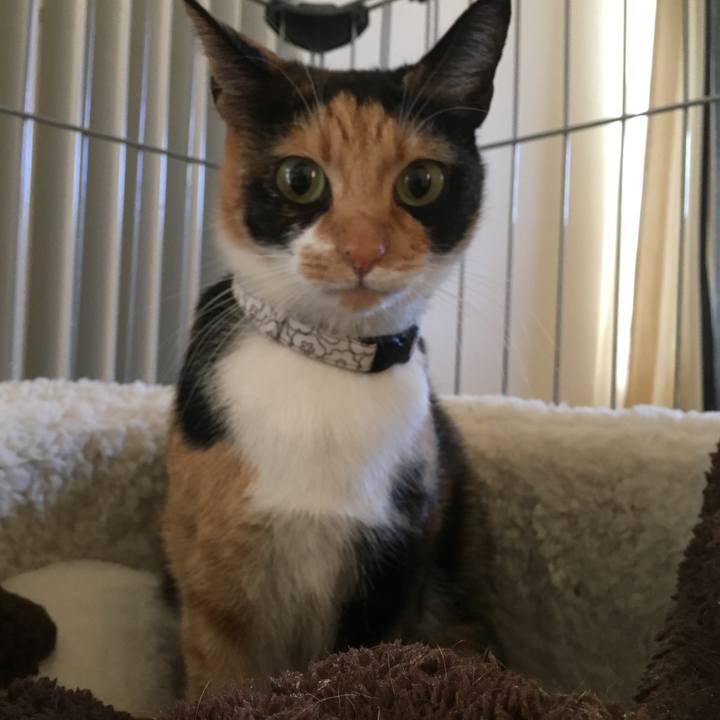 1d36b675 bdac 45b2 a8aa 09729a5c4a0d