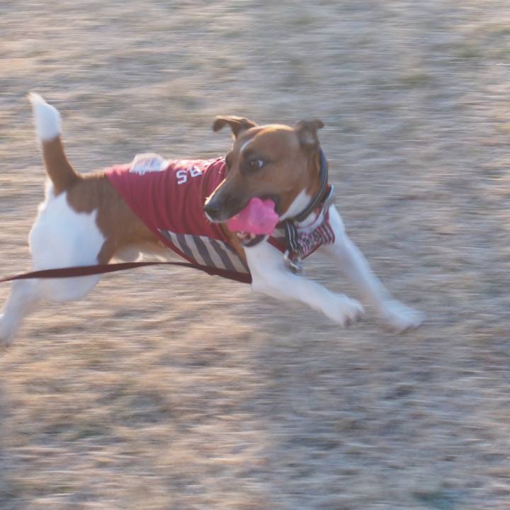 1d37850c 1ec4 493e 81bb caa84065676f