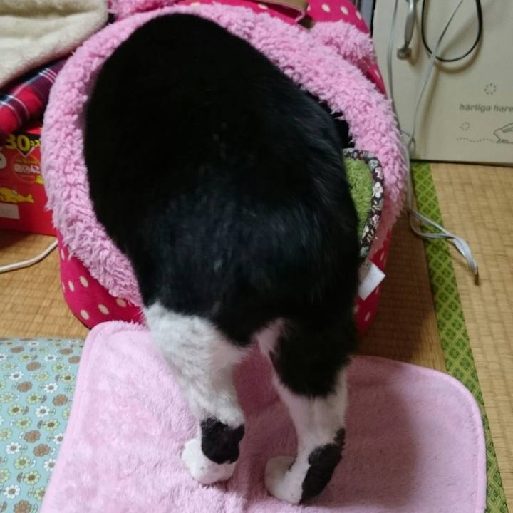 1d37cb60 bf80 45c9 8bf9 32fdf0c2bfc2