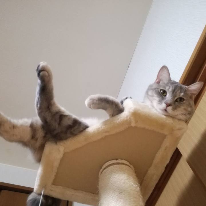 1d386133 f1ae 4aef a1ea 25bd43ef7c19