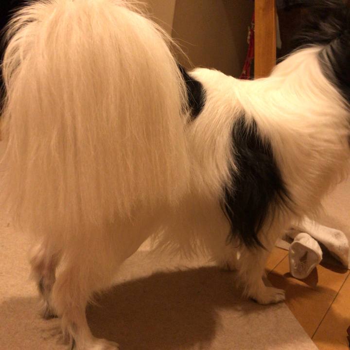 1d394abe 5555 4187 8f8c 983069d694f4