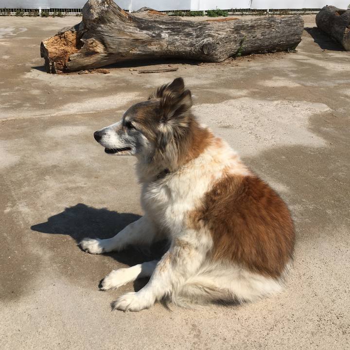 1d3964b0 c9a4 455b bdf3 a83c30f3dbe6