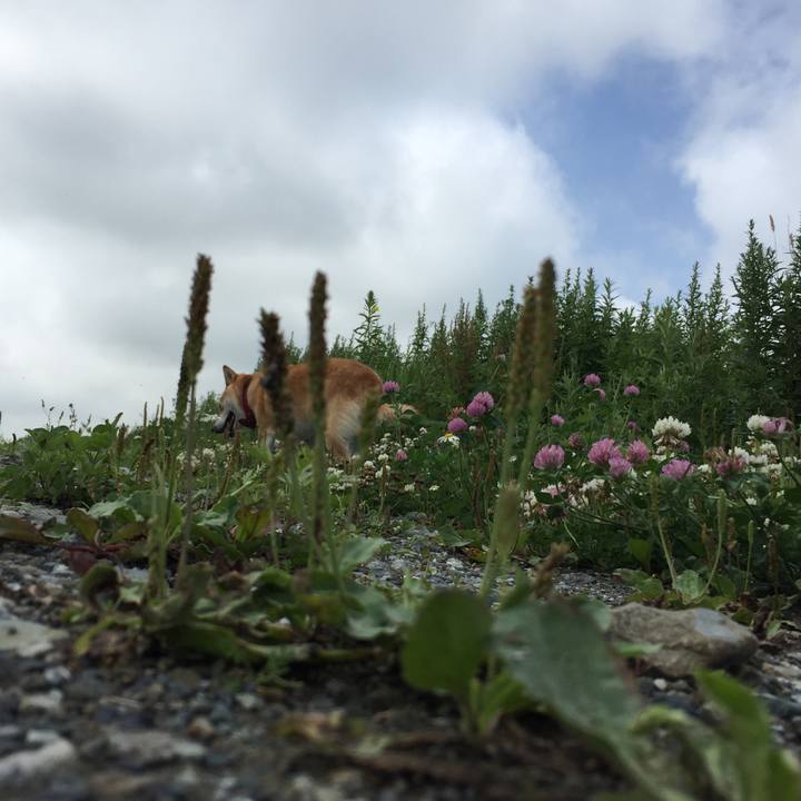 1d3966d4 b1de 4c92 9e26 205d14cc10f8