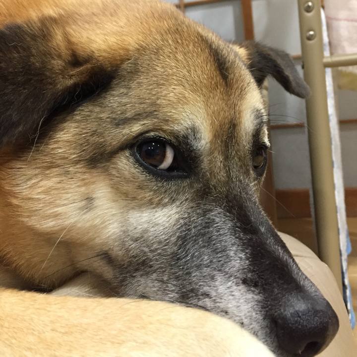 1d39bef8 b66d 4c0b b7ae b33228100a4d