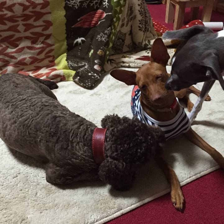 1d39ca0b 6aed 424b 9464 43aaa296f38d