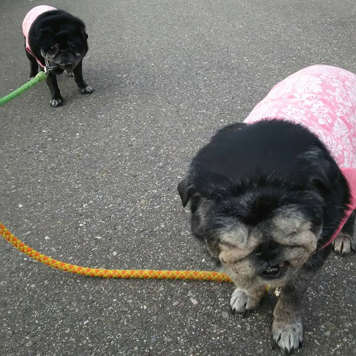 1d39f306 0241 4c89 ae11 c5ba1ae0ef29