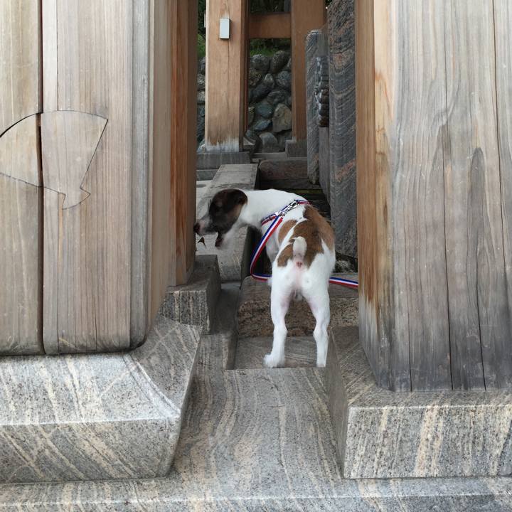 1d3a3db6 c772 42d4 929d b6203174006d