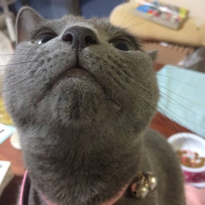 1d3a9b6b 0b4d 4c56 bfc7 4ab60aec9e31