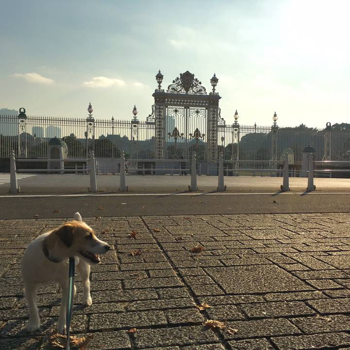 1d3b37e2 c233 4da5 a489 b409681038b3