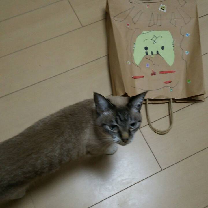 1d3b7bce bf64 41b7 b07d cd073bdb8dd8