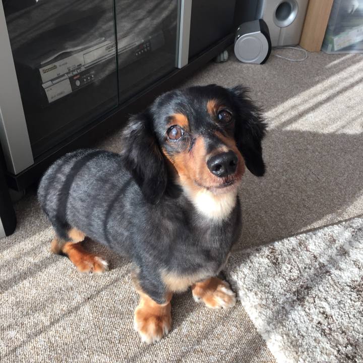 1d3c821f 1248 411d bbf6 3ea5ff9517ed