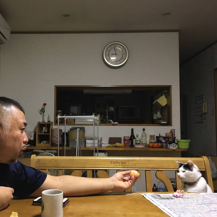 1d3c9c62 160c 406c 8dd3 310d75baaeea