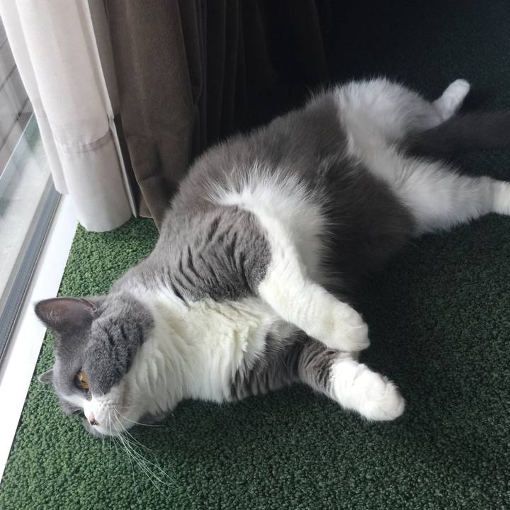 1d3cc679 7f61 4f6e ae1b a5bac60c796a