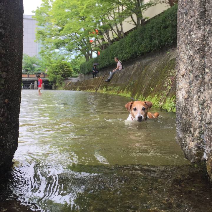 1d3cf1e1 72fc 4ec5 96c3 c31382681607