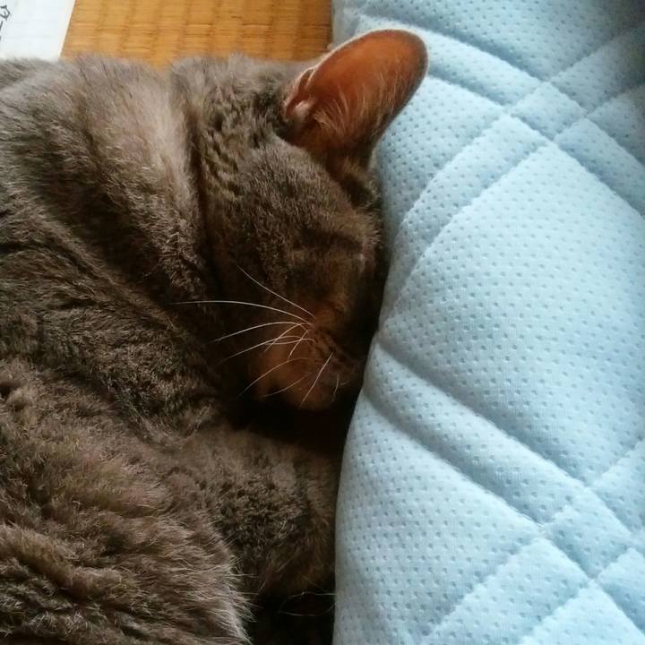 1d3d4139 d6bc 4bdd bb8e 2941c13b7bb8