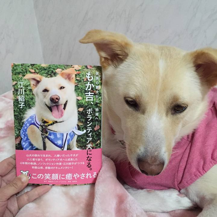 1d3dacd2 3152 4eba 9efa 6c61f369afc9