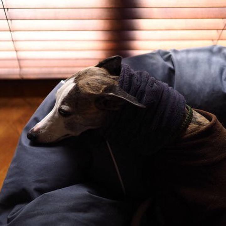 1d3dc534 24bf 413a b19e ec85d3a5cdb7