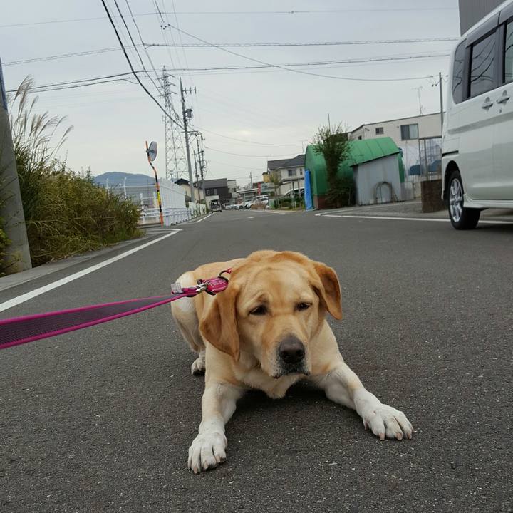 1d3dd323 ddd7 4a2f 930e 1ee875310f8a