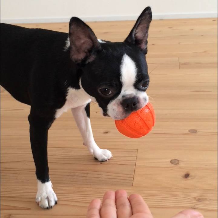 1d3de0df 7266 450f 8832 30c3a4047cf3