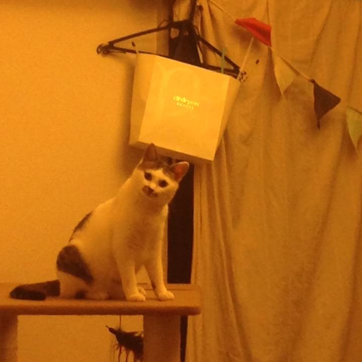 1d3df7ae 29be 4181 a257 8449d863a874