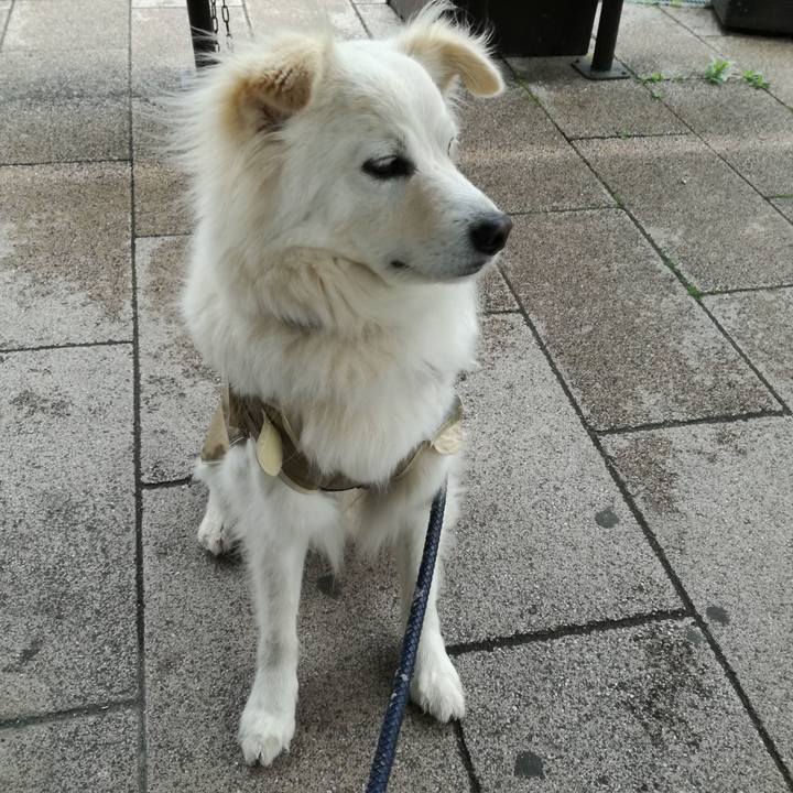 1d3e03f5 8d86 49d5 b2bc c868a62dc49e