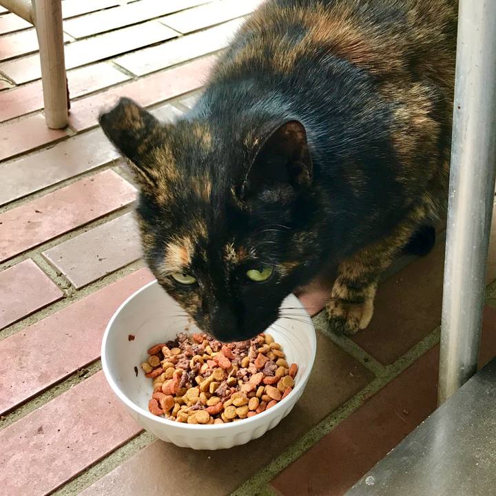 1d3e621f 7149 4bae b48c c902b97ea027