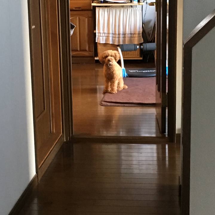 1d3f1dfa 7aad 4b44 9ca1 aa567819ce77