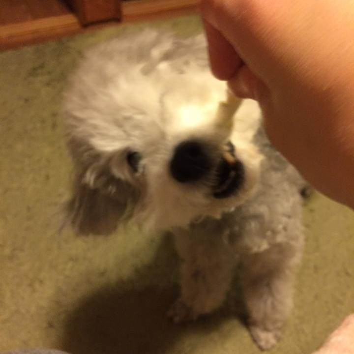 1d3ff18e 5030 49da 97cb 4391e1487a33