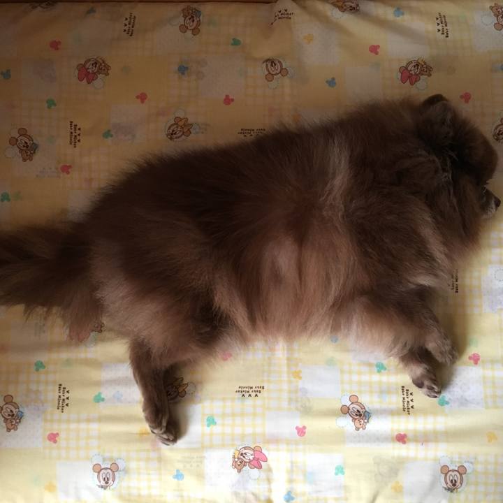 1d404f16 5861 4bab 8bc9 19f66e984db7