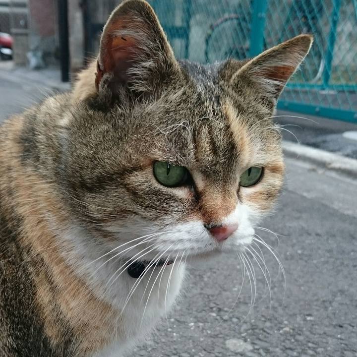 1d4072f4 7c2f 4f55 87fc aeda94c1ea68