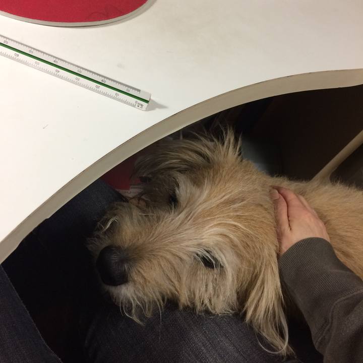 1d4079ff a25a 4fd8 94f9 2d8799e0ec0d