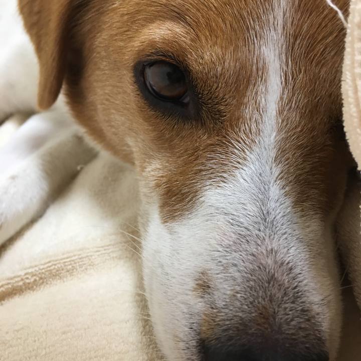 1d410199 d00d 48ff b50b 05c46a222098